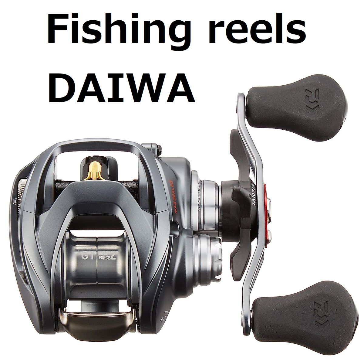 DAIWA - ✴︎mmmm7499です Eh? A special order model of Daiwa reel is coming out
