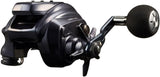 Daiwa 23 LEOBRITZ 200JL Electric Reel