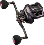 Daiwa 24 KHOGA IC 200P Baitcasting Reel