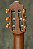 Yamaha SLG200N TBS Nylon String Silent Guitar Tobacco Brown Sunburst Brand NEW