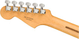 Fender Player Plus Stratocaster HSS Pau Ferro Silverburst Guitar Brand NEW