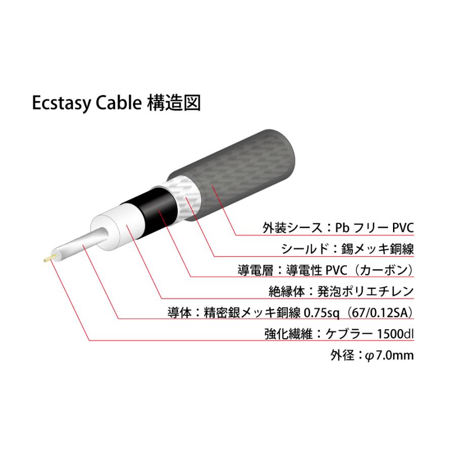 Cable Ecstasy NEO OYAIDE by Elec Guitar LS⁄5.0 オヤイデ パッチ