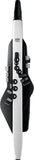 ROLAND AEROPHONE AE-20 Digital Wind Instrument ZEN-Core BRAND NEW from JAPAN