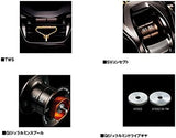 Daiwa STEEZ SV TW 1016-SV-H Baitcasting Reel