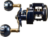 Daiwa 21 SALTIGA IC 300-DH Baitcasting Reel