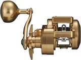 Daiwa 21 BASARA IC 250P Baitcasting Reel