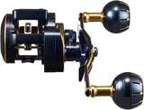 Daiwa 21 SALTIGA IC 300L-DH Baitcasting Reel