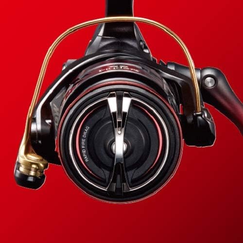 Shimano 19 Sephia SS C3000-SDH Spinning Reel – EX TOOLS