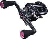 Daiwa 23 KHOGA 100XHL Baitcasting Reel