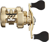Daiwa 21 BASARA 100L Baitcasting Reel