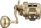 Daiwa 21 BASARA 150L Baitcasting Reel