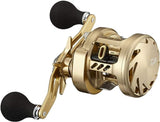 Daiwa 21 BASARA 100 Baitcasting Reel