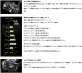 Daiwa 20 TIERRA IC 100 Baitcasting Reel
