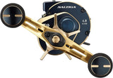 Daiwa 21 SALTIGA IC 100PL-DH Baitcasting Reel