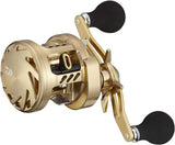 Daiwa 21 BASARA 100L Baitcasting Reel