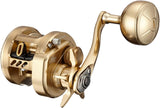 Daiwa 21 BASARA 150L Baitcasting Reel