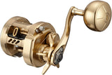 Daiwa 21 BASARA 200L Baitcasting Reel