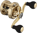 Daiwa 21 BASARA 100L Baitcasting Reel