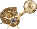 Daiwa 21 BASARA IC 250P Baitcasting Reel