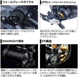 Daiwa LEOBRITZ 500JP Electric Reel