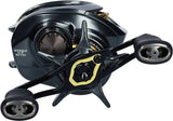 Daiwa STEEZ CT SV TW 700H Baitcasting Reel