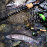 Daiwa BALLISTIC FW LT2500S-C Spinning Reel