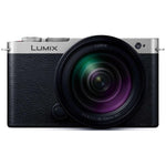 Panasonic Mirrorless Single Lens Camera LUMIX S9 High Magnification Zoom Lens Kit DC-S9H-S Dark Silver