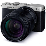 Panasonic Mirrorless Single Lens Camera LUMIX S9 High Magnification Zoom Lens Kit DC-S9H-S Dark Silver