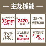Panasonic mirrorless single-lens camera LUMIX S5II high magnification zoom lens kit DC-S5M2H