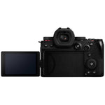 Panasonic mirrorless single-lens camera LUMIX S5II high magnification zoom lens kit DC-S5M2H
