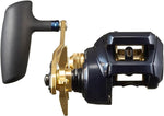 Daiwa TIERRA LJ IC200H Baitcasting Reel