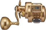 Daiwa 21 BASARA IC 250PL Baitcasting Reel