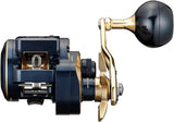 Daiwa 21 SALTIGA IC 300L Baitcasting Reel