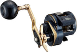 Daiwa 21 SALTIGA IC 300 Baitcasting Reel