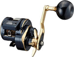 Daiwa 21 SALTIGA IC 300L Baitcasting Reel