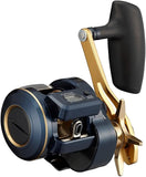 Daiwa 21 SALTIGA IC 300HL-SJ Baitcasting Reel