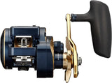 Daiwa 21 SALTIGA IC 300HL-SJ Baitcasting Reel