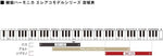 SUZUKI HAMMOND PRO-44HP PRO-44HPv2 44 Hyper Melodion Wind Keyboard Melodica