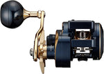 Daiwa 21 SALTIGA IC 300 Baitcasting Reel