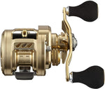 Daiwa 21 BASARA 100 Baitcasting Reel