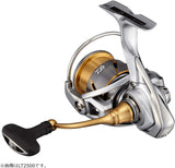 Daiwa 21 FREAMS LT3000-CXH Spinning Reel