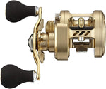 Daiwa 21 BASARA 100 Baitcasting Reel