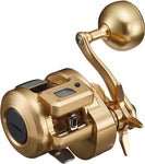 Daiwa 21 BASARA IC 250PL Baitcasting Reel