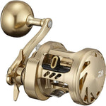 Daiwa 21 BASARA 200 Baitcasting Reel