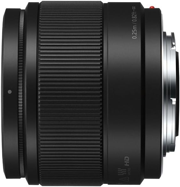Panasonic Lumix G 25mm f/1.7 ASPH. Lens - BLACK [H-H025] – EX TOOLS ...
