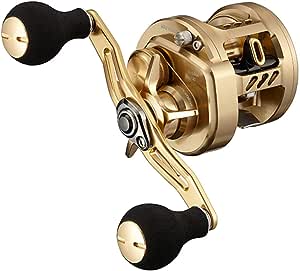 Daiwa 21 BASARA 100 Baitcasting Reel