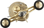 Daiwa 21 BASARA 100 Baitcasting Reel