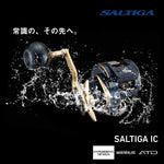 Daiwa 21 SALTIGA IC 300 Baitcasting Reel