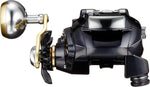 Daiwa LEOBRITZ 300J Electric Reel